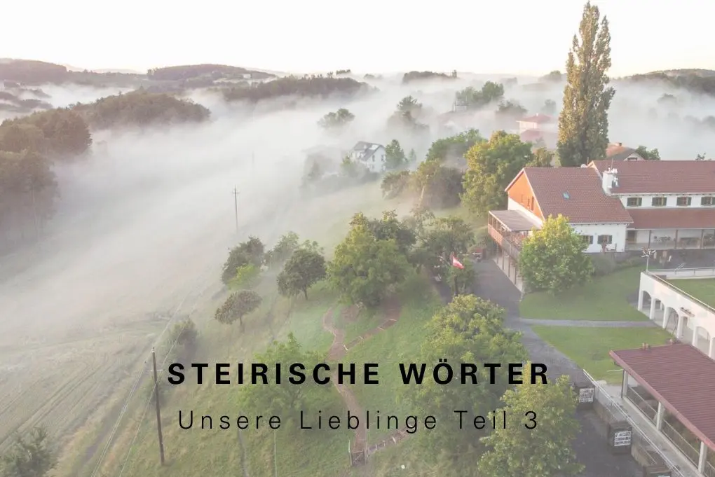 Steirische Wörter